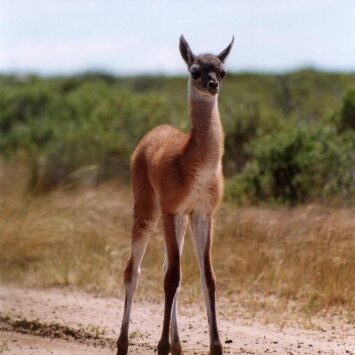 viaje a puerto madryn
