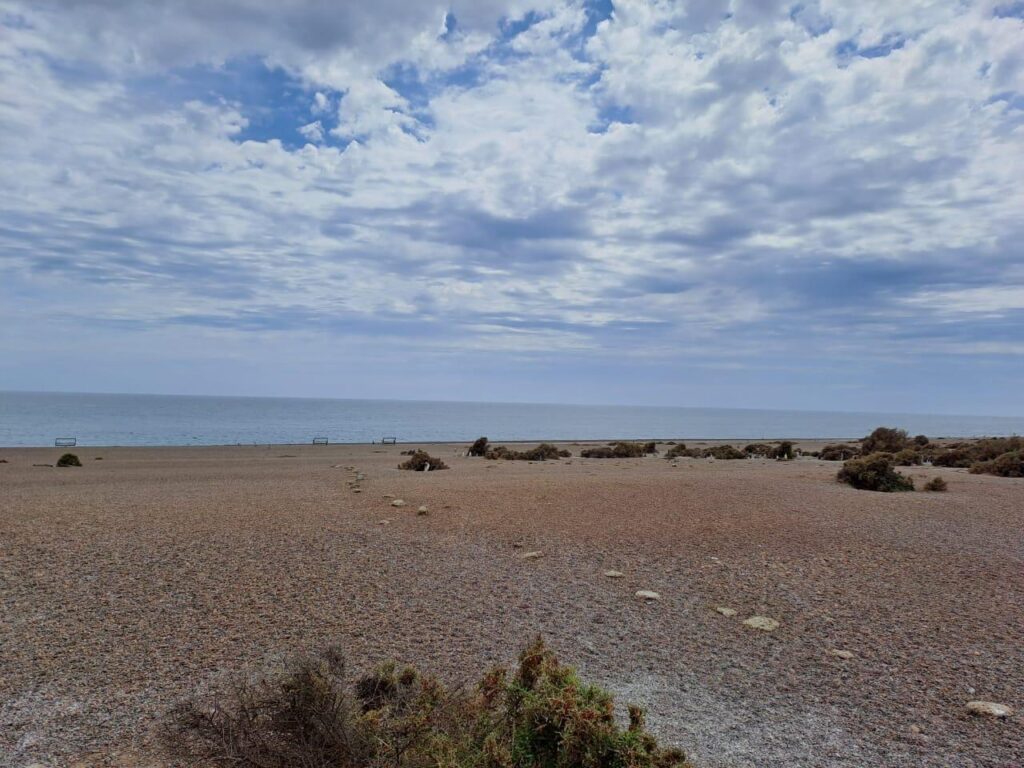 Visitar Puerto Madryn