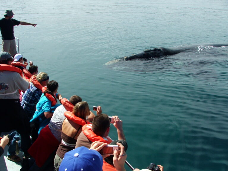 Visitar Puerto Madryn