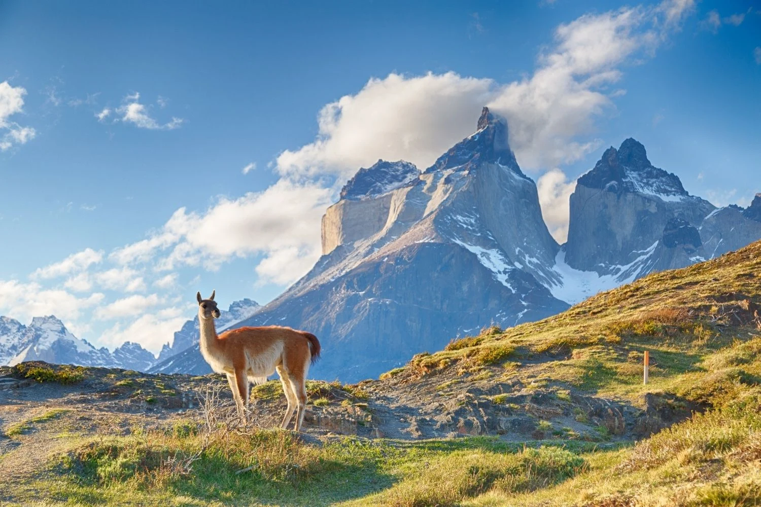 Cómo organizar un gran viaje por Sudamérica sin agotarse